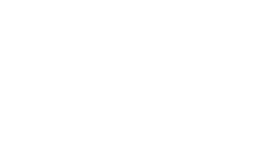 CamAi