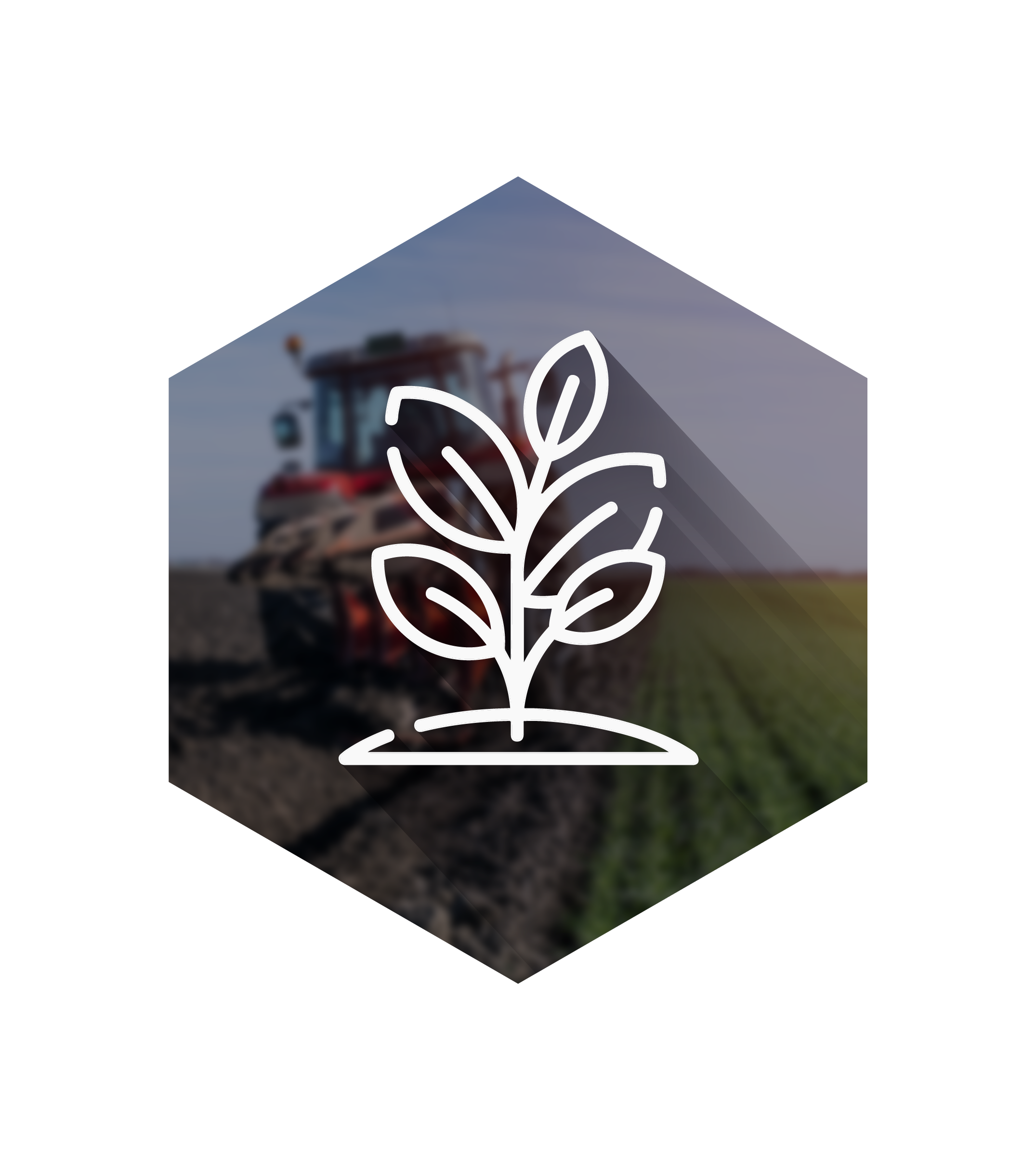 Agriculture